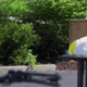 Image for article titled Huh, turns out destroying stress balls is just as satisfying as squeezing them